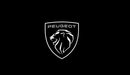 ��11��ʨ���������Ʒ��ȫ��������